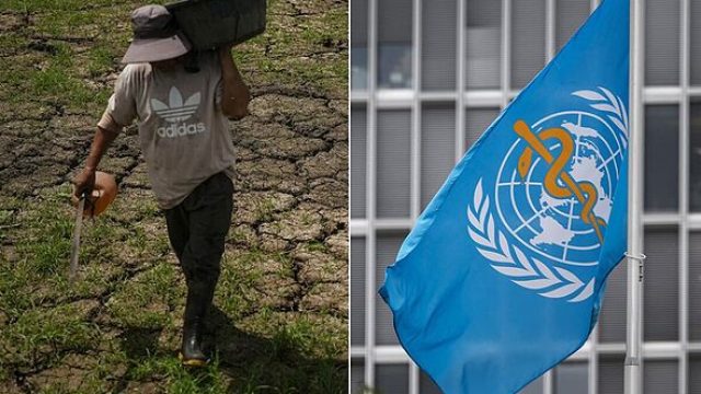 Severe El Niño Alert: What It Means for Southeast Asia