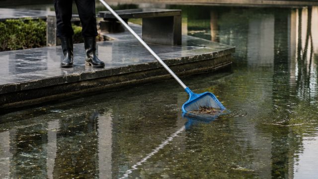Reflection Pool Dilemma: A Look into Maintenance Challenges
